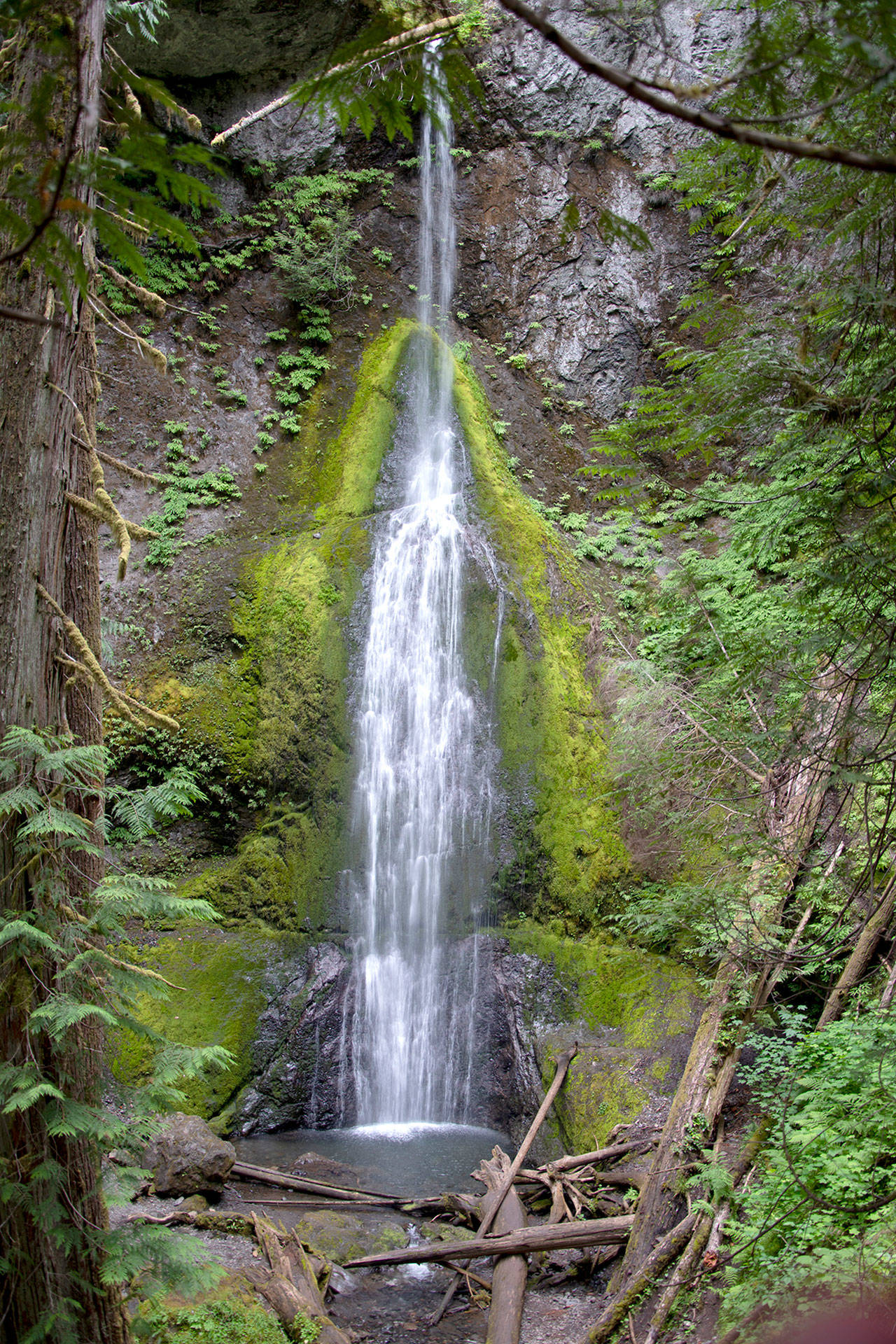 Marymere Falls in Olympic National Park.
