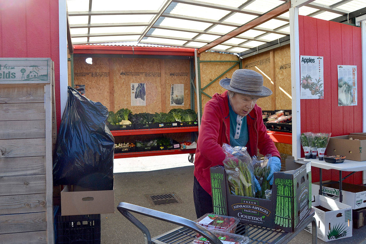 Carlene Moberg, a produce volunteer at the Sequim Food Bank, readies food for distribution Monday. Recently, the produce barn was vandalized and food bank leaders report several thefts and burglaries at the facility in recent weeks. (Matthew Nash/Olympic Peninsula News Group)
