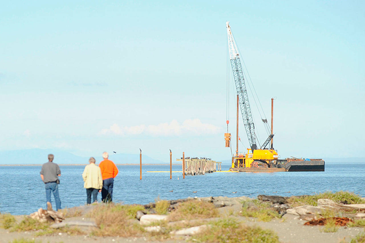 Nearby residents of Three Crabs Road and passersby watch as pilings are removed from the old Dungeness wharf. (Erin Hawkins/Olympic Peninsula News Group)