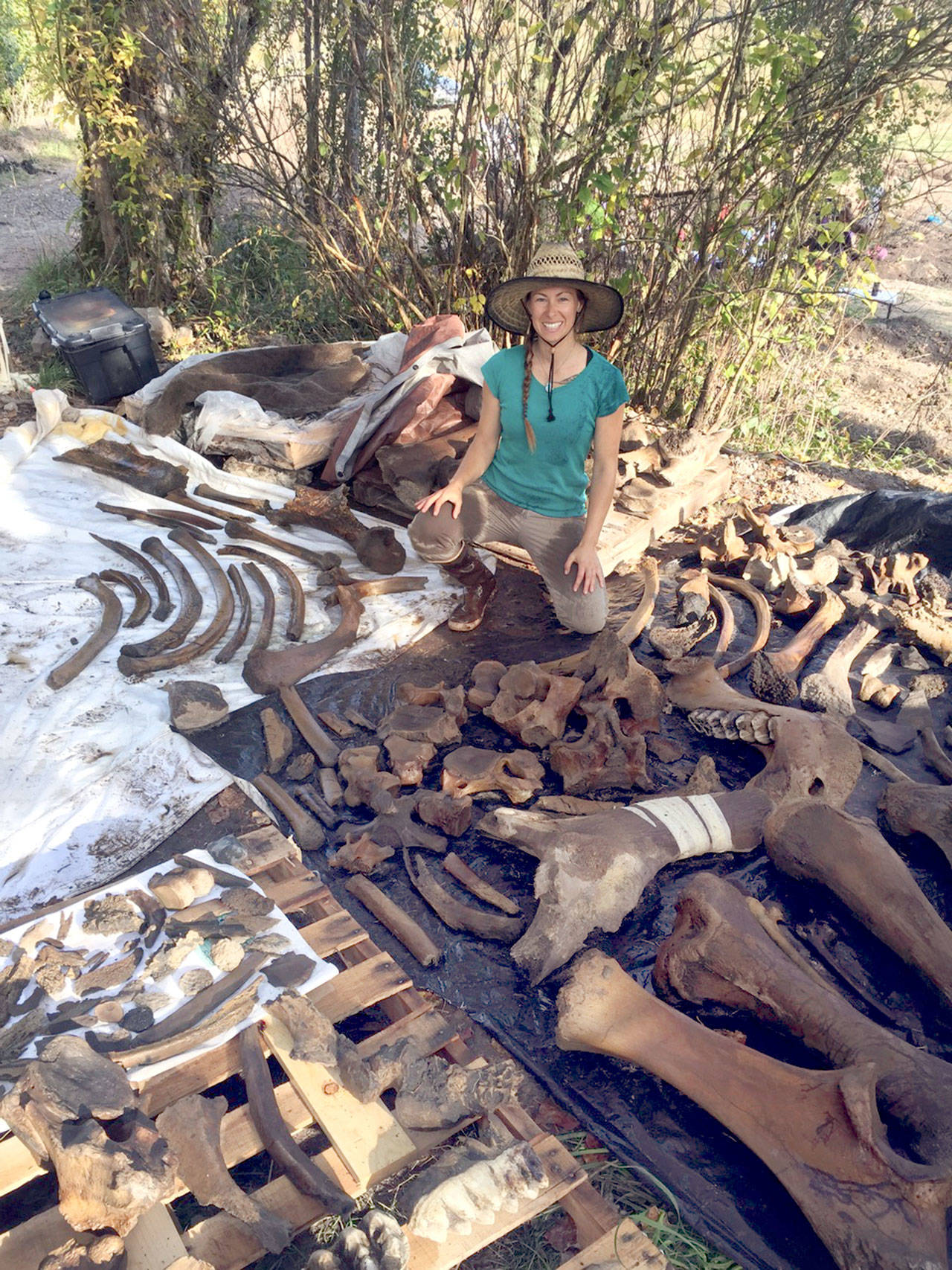 Windward School teacher Elisa Weiss ends a week of discovery after working with 80 students and parents to dig up mastodon bones. The bones were found in a farmer’s field in Chimacum.