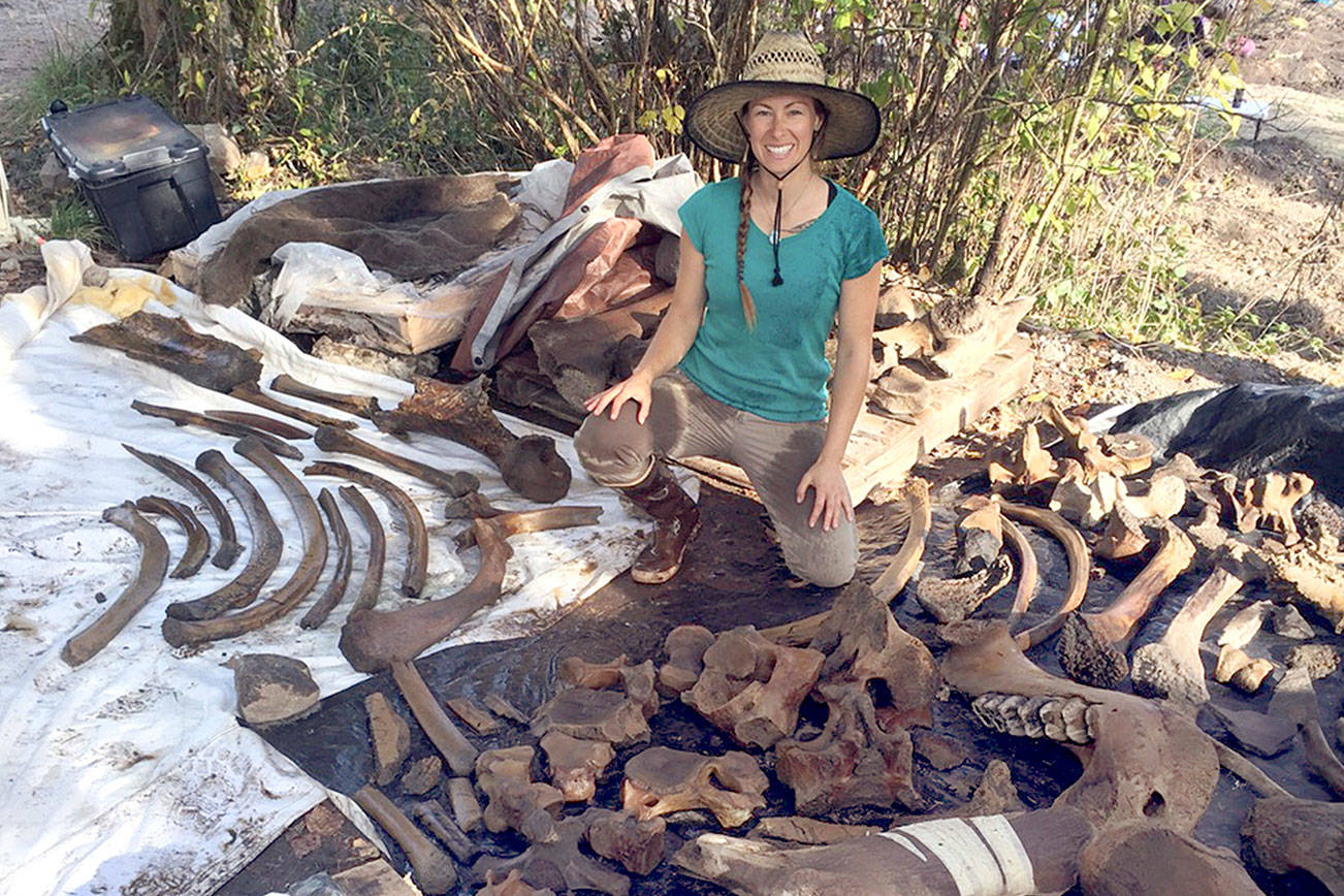 Kids get hands-on lessons in Chimacum mastodon dig