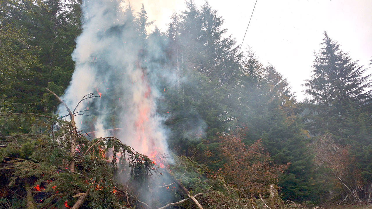 A handmade slash pile burns to get rid of limbs from fallen trees. Just barely seen is the haywire to pull a 124-foot hemlock directly into the fire for a simple pleasure. (Zorina Barker/for Peninsula Daily News)