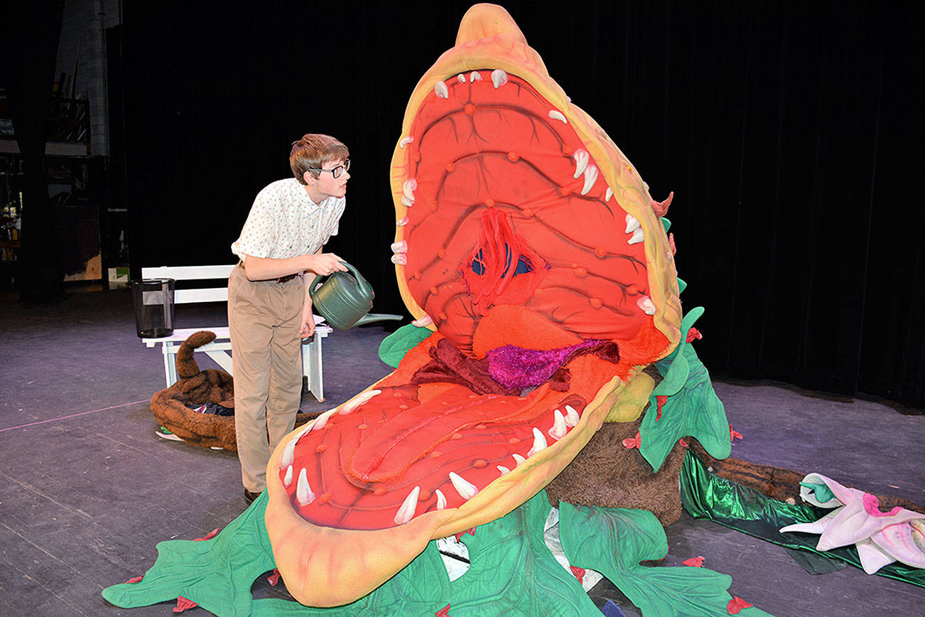 Seymour Krelborn, played by Ethan Cameron, tends to his increasingly demanding plant, Audrey Two.