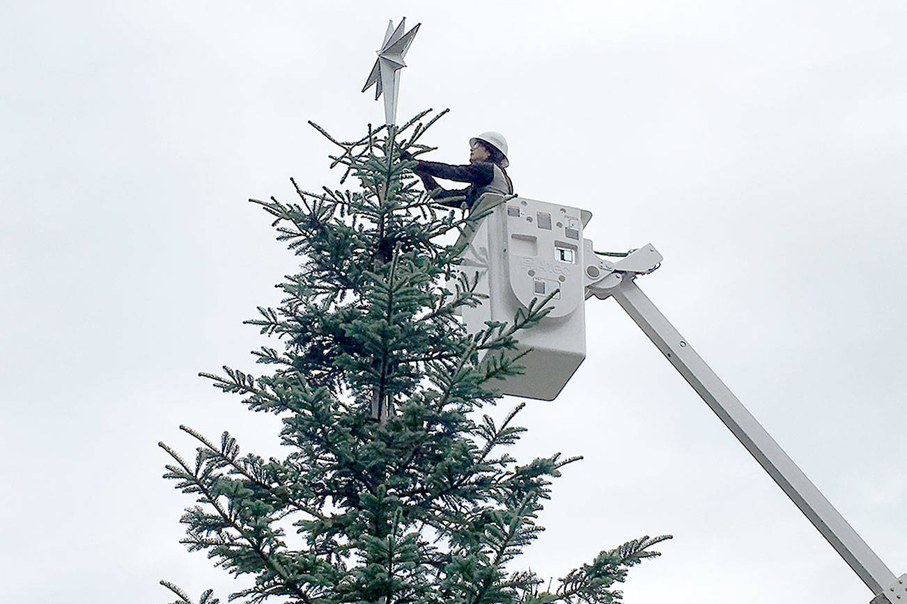 O Christmas tree Port Angeles workers decorate at Dyar Fountain