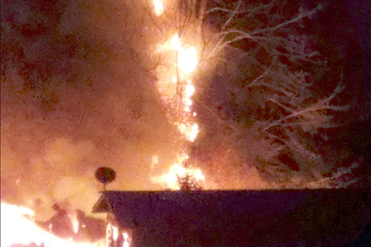 Fire shoots flames up trees in Joyce
