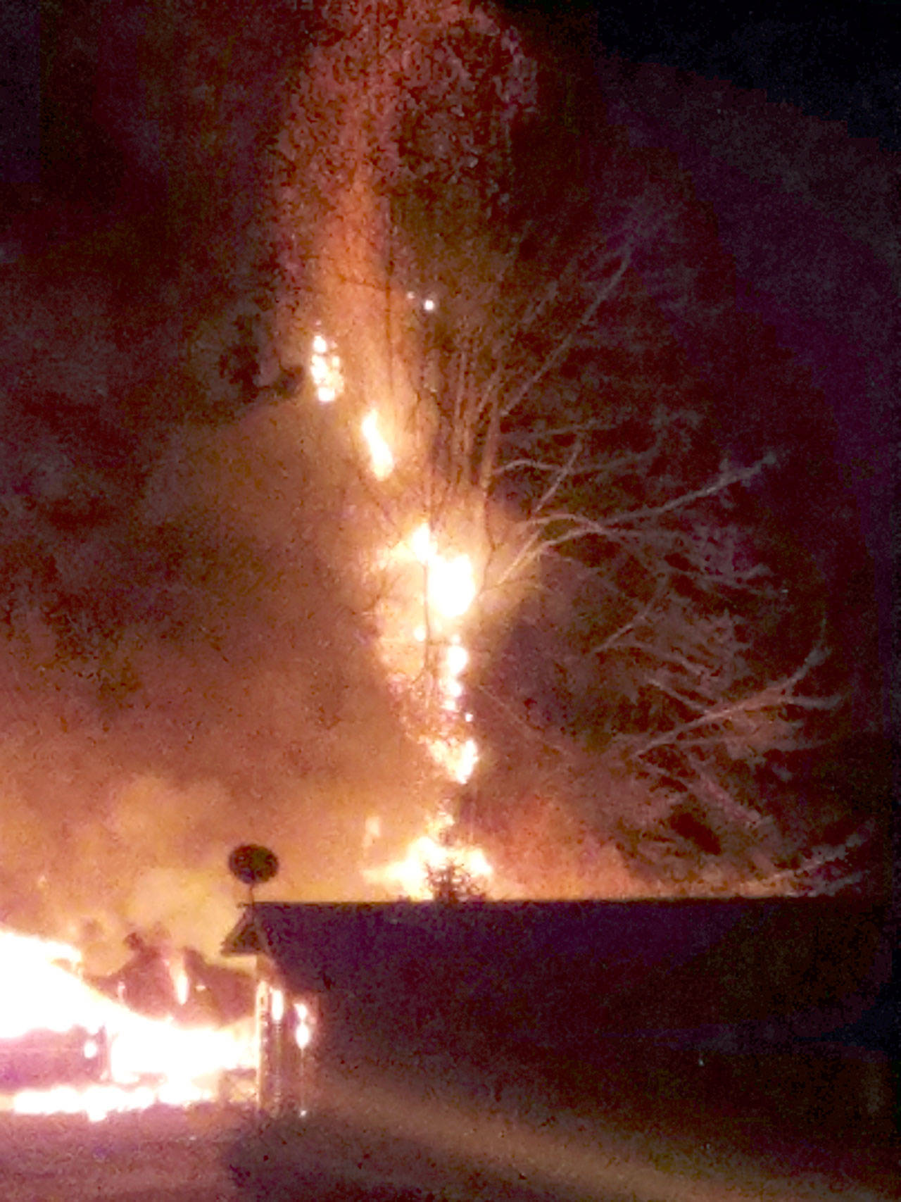 Flames burn a nearby tree as a mobile home burns in Joyce early Tuesday morning. (Cody Freeze)