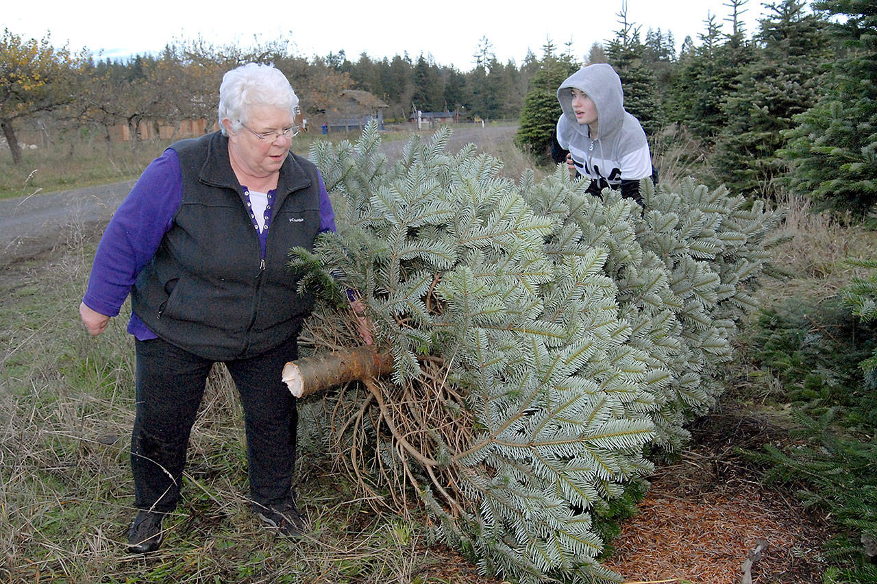 Annalis Schutzmann and her granddaughter, Annalise Davis, 13, both of Sequim, carry a freshly cut Christmas tree at Lazy J Tree Farm east of Port Angeles. (Keith Thorpe/Peninsula Daily News)