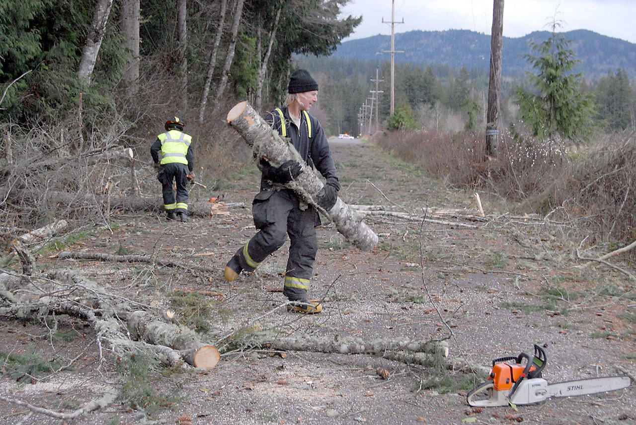 Clallam County Fire District No. 2 firefighter Rick Leffler, center, and Lt. Troy Tisdale work to clear a downed tree from Power Plant Road west of Port Angeles on Friday. (Keith Thorpe/Peninsula Daily News)