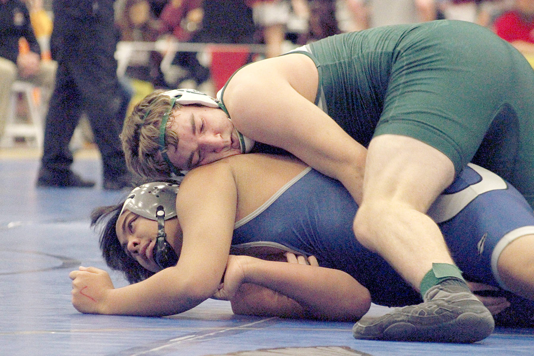&lt;strong&gt;Mark Krulish&lt;/strong&gt;/Kitsap News Group                                Don Timperio of Port Angeles wrestles Olympic’s Kai Fernandez in the 195-pound weight class Saturday at the Hammerhead Invitational in Bremerton. Timperio won the match with a pin.