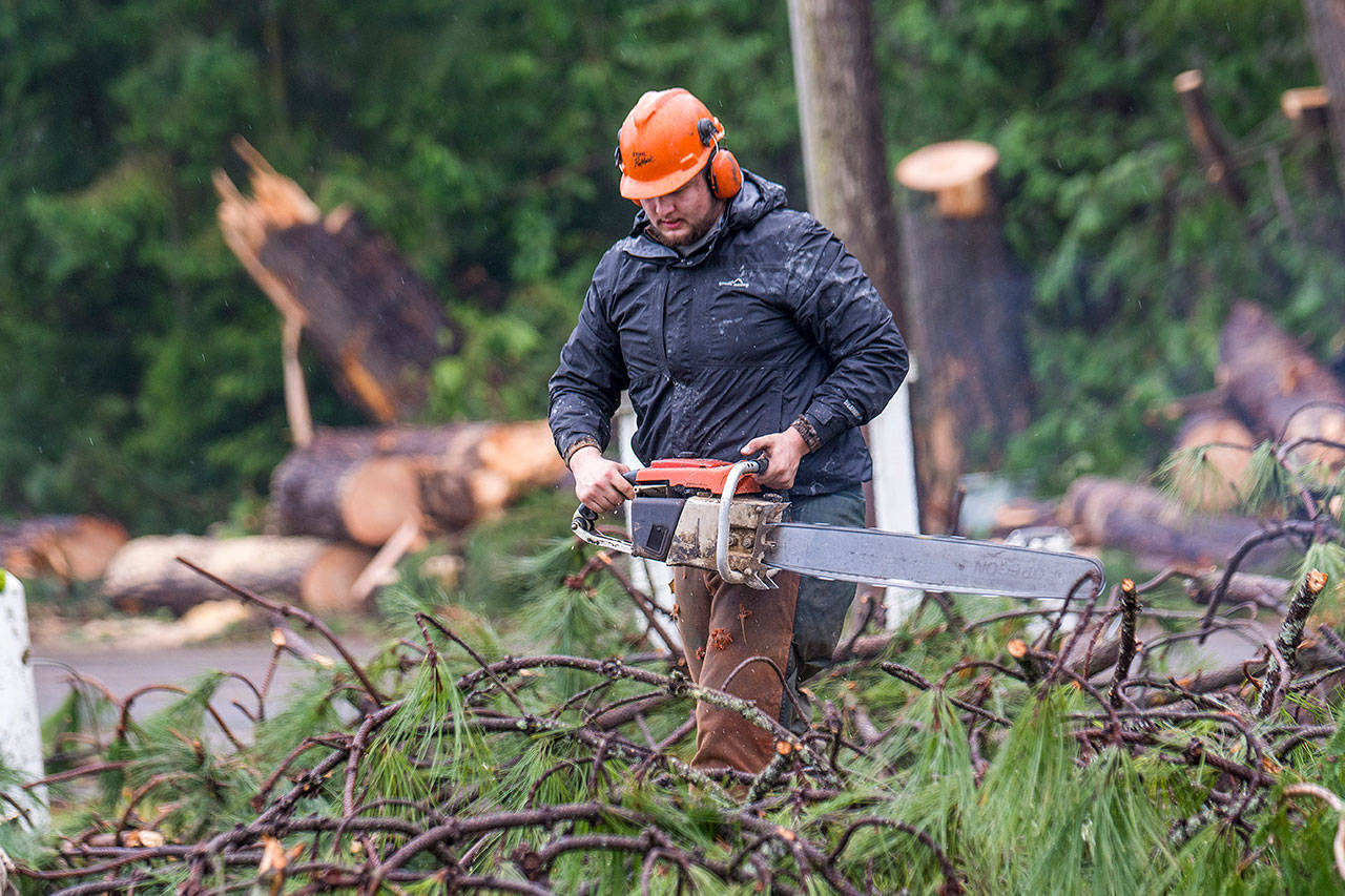 Connor Heilman, a member of the Dry Creek Grange on Edgewood Drive, on Sunday uses a chainsaw to clear debris that fell during Friday’s storm. (Jesse Major/Peninsula Daily News)