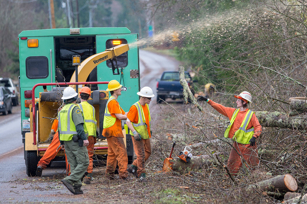 Members of the Clallam County Chain Gang clear debris from Friday’s windstorm along Edgewood Drive in Port Angeles on Monday afternoon. (Jesse Major/Peninsula Daily News)