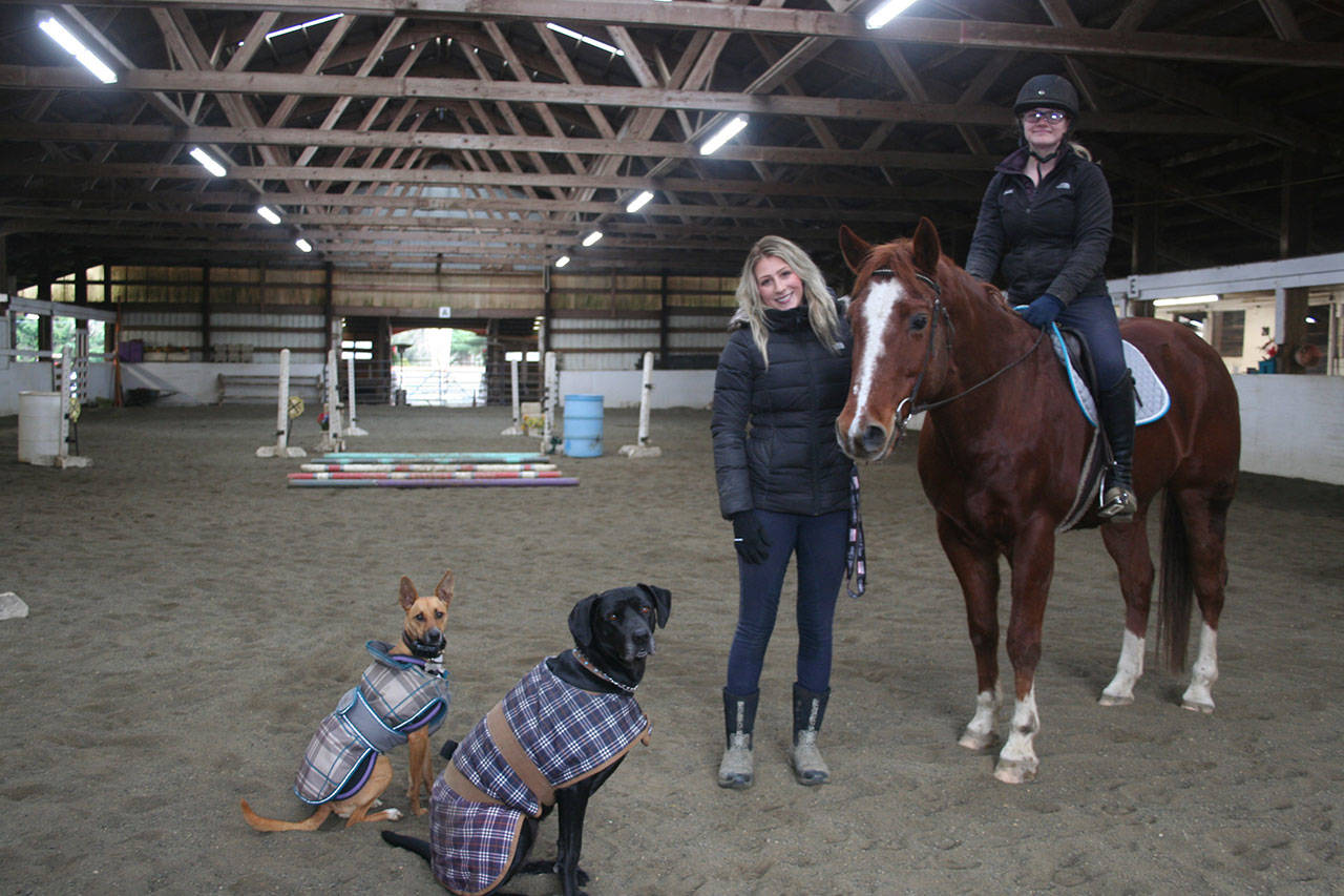 Fox-Bell Farm & Training owner Shelby Vaughan with her assistant Faith Haggie on Chex, a rescue horse in training, When her shelter rescue dogs, Ellie and Roxy, front and center, saw it was picture time they insisted on striking a pose. (Karen Griffiths/for Peninsula Daily News)