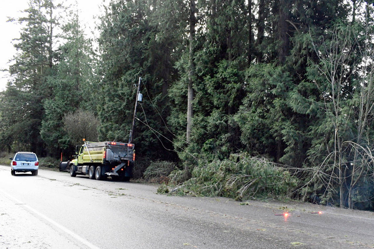 A large tree branch crashed onto Highway 19/Rhody Drive near Jefferson County Airport Thursday, taking down power lines. Debris from small limbs was scattered across all county roads. Jefferson County PUD asks that people not drive over downed lines. (Jeannie McMacken/ Peninsula Daily News)