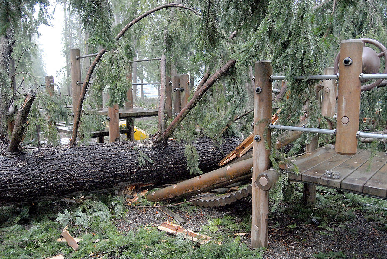 Playground equipment stands crushed by a fallen tree in the aftermath of a Dec. 14 windstorm that damaged Lincoln Park in Port Angeles. (Keith Thorpe/Peninsula Daily News)