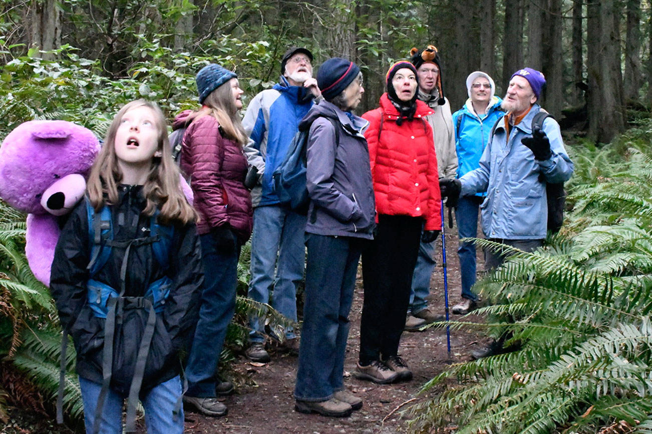 Walk in Port Townsend woods marks first day of the year for Native Plant Society