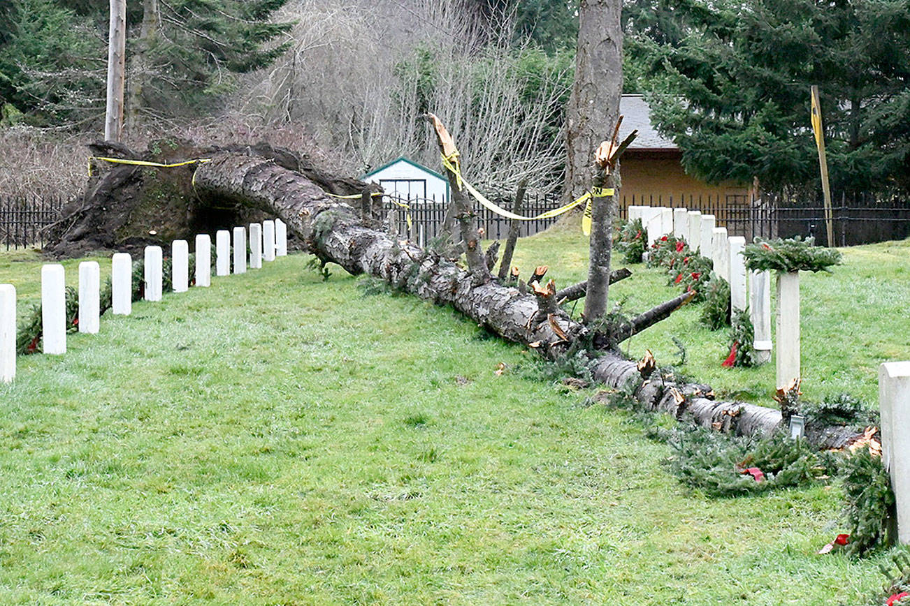 Damage to military cemetery at Fort Worden evaluated after December storm