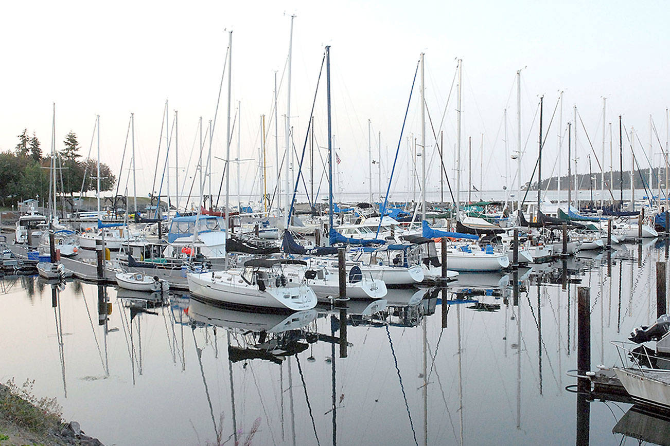 John Wayne Enterprises wants port to keep marina; opposes any sale