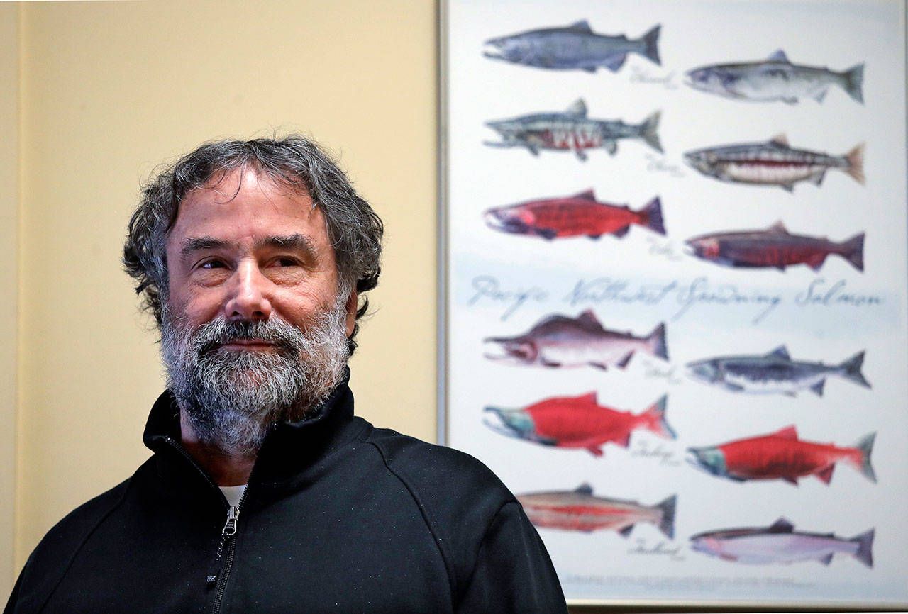 Salmon researcher Greg Ruggerone, one of a group of scientists who noticed a startling trend about the deaths of endangered southern resident orca whales, stands with a chart showing various salmon species his office. (The Associated Press)