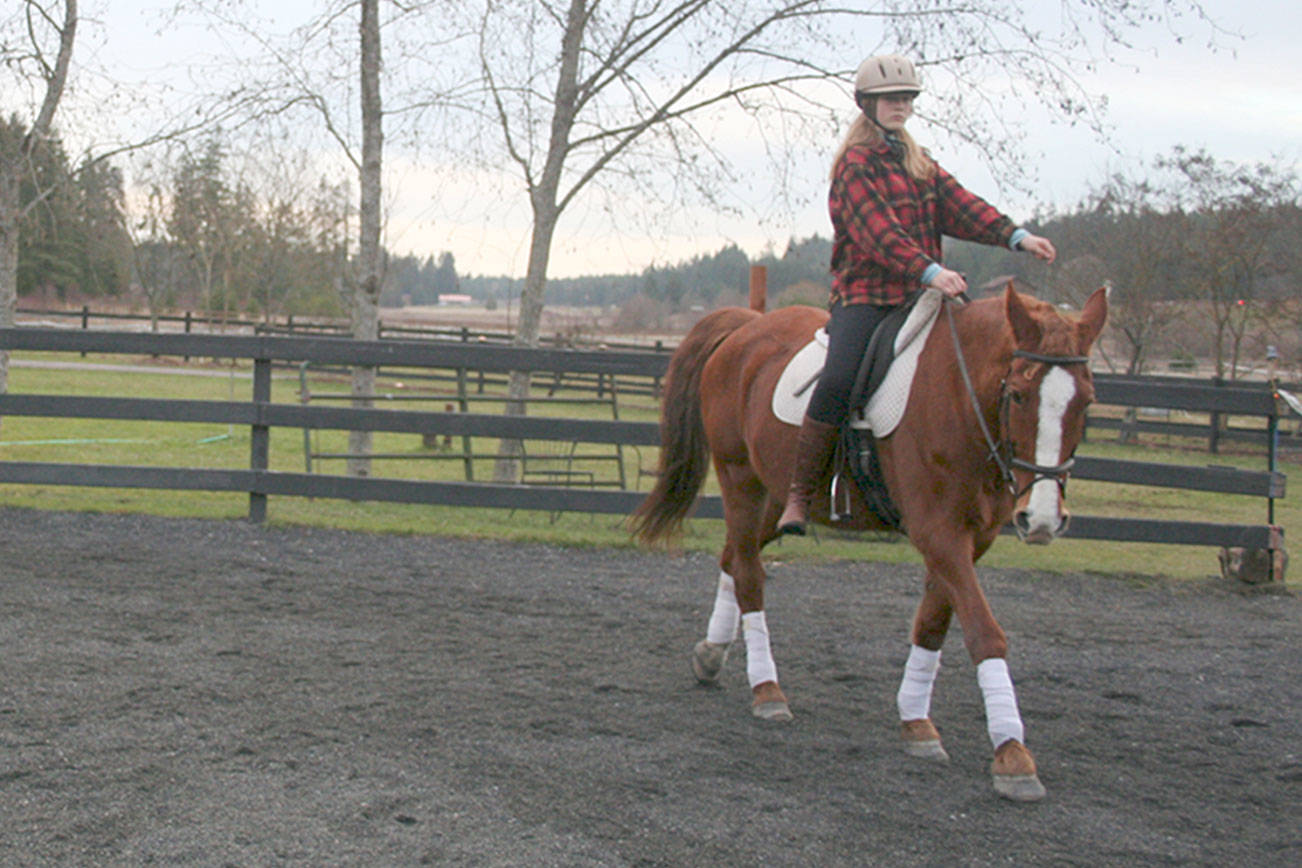 HORSEPLAY: Port Townsend certified trainer helps teach riders