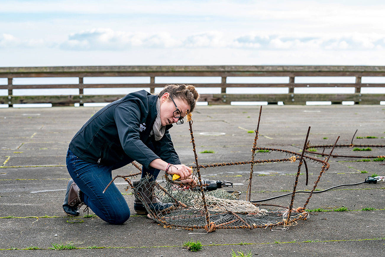 PHOTO: Cutting edge recycling work in Port Townsend