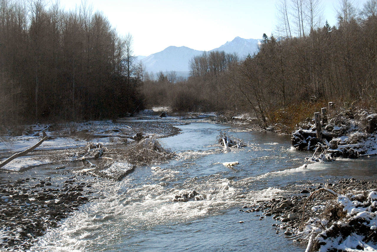 The Dungeness River flows by Railroad Bridge Park in Sequim on Wednesday. (Keith Thorpe/Peninsula Daily News)