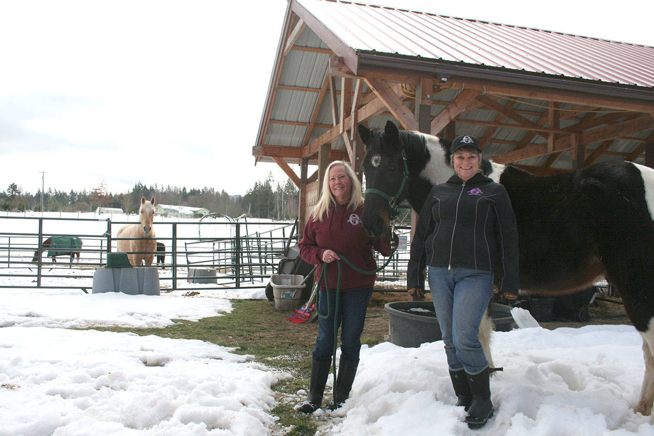 In response to some people being housebound and running out of hay during the Peninsula’s recent massive snowfall, Olympic Peninsula Equine Network founders Diane Royall and Valerie Jackson (with Jeb) put the word out on social media that Royall could help deliver hay with her 4-wheel-drive truck. (Karen Griffiths/for Peninsula Daily News)
