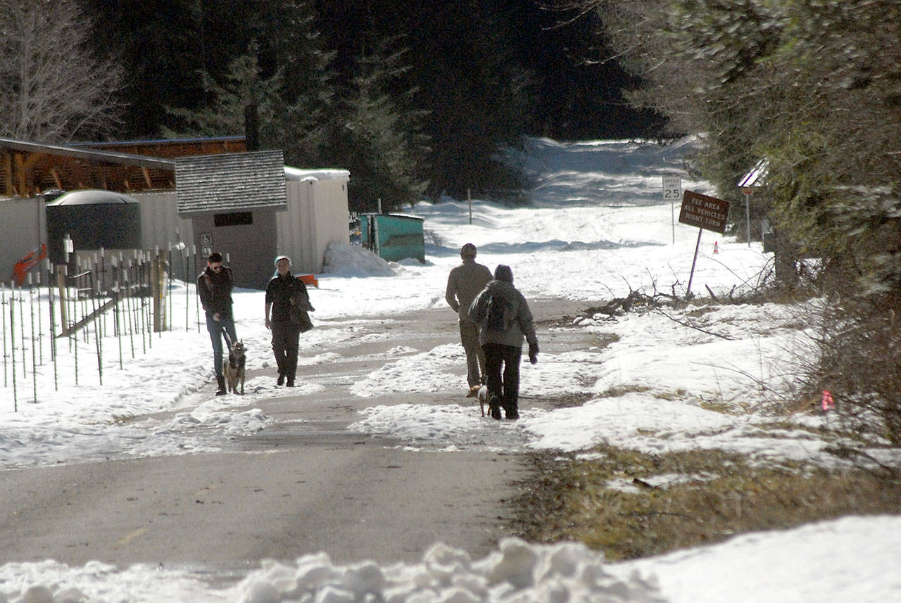 Hikers make their way up a snow-covered section of Olympic Hot Springs Road in Olympic National Park on Saturday. (Keith Thorpe/Peninsula Daily News)
