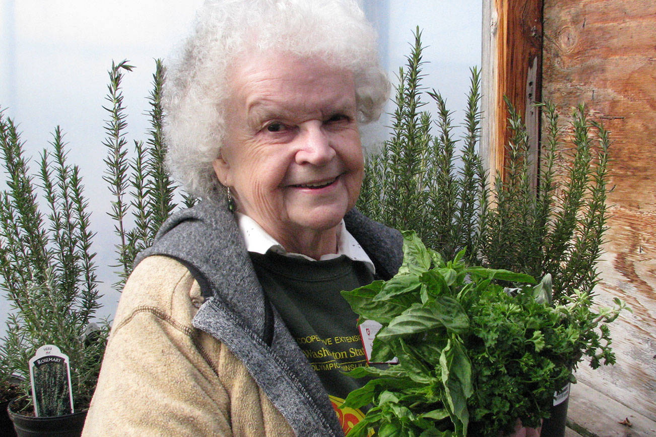 Master Gardener to discuss cultivating culinary herbs
