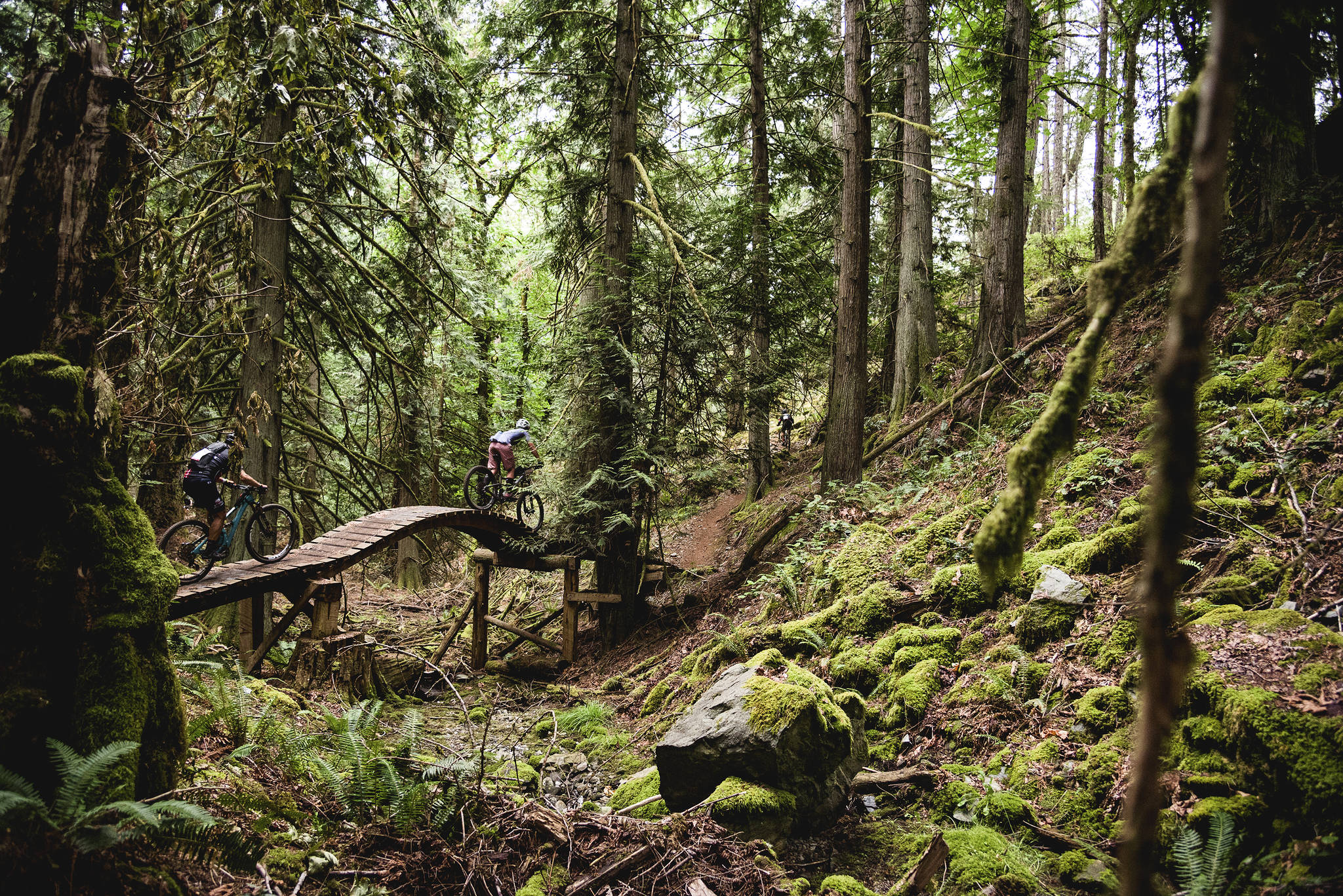 British Columbia trails are a measuring stick for trails around the Northwest, the creativity and uniqueness of the trails are one of the main reasons Powell Jones decided to do the BC Bike Race. Photo courtesy of Powell Jones