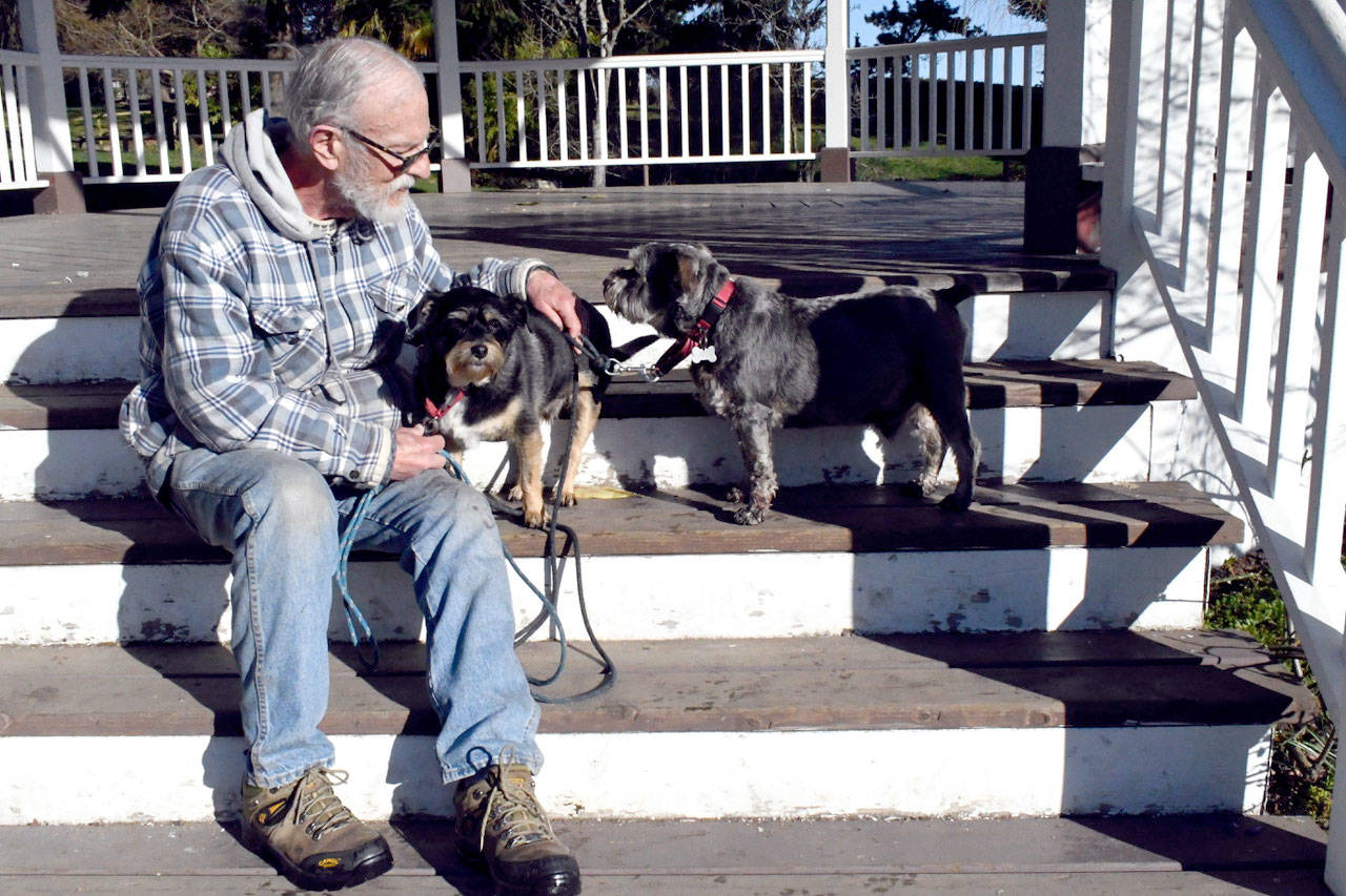 Bill Dauenhauer of Port Townsend walks his dogs through Chetzemoka Park several times nearly every day. He said he believes the idea of a new off-leash park is a great one for those who need to run their dogs and said the current off-leash area at Chetzemoka is too small. (Jeannie McMacken/Peninsula Daily News)