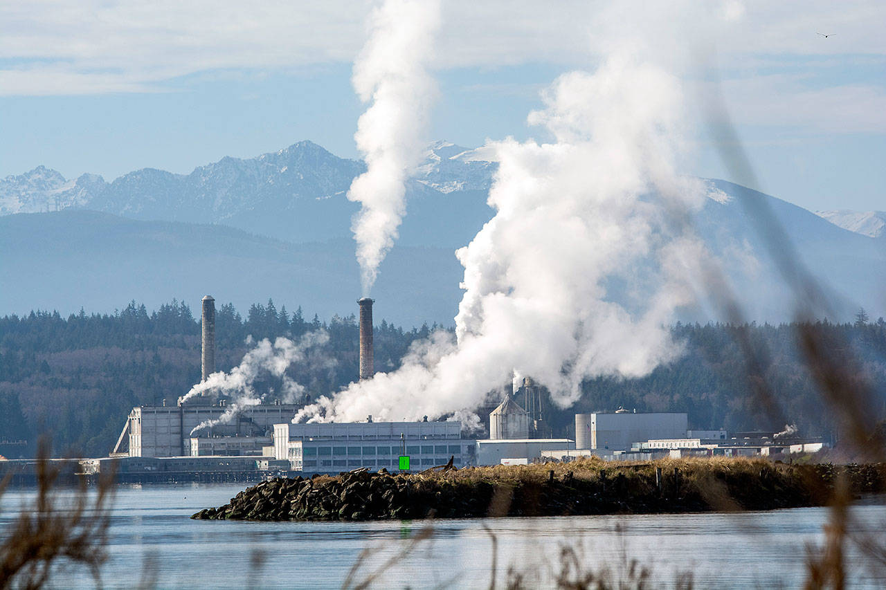 The Port Townsend Paper Company shown on Jan. 30, 2019. The City of Port Townsend will not renew its 63-year-old operational lease of the city’s Olympic Gravity water system, but officials expect a new pact to be in place before it expires. (Jesse Major/Peninsula Daily News)