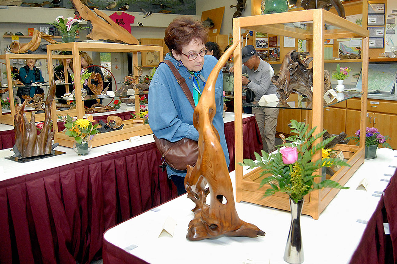 PHOTO: Driftwood displayed in Sequim show