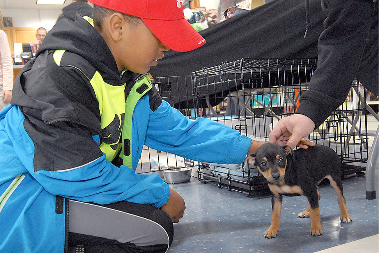 PHOTO: Raising funds for animals in Port Angeles