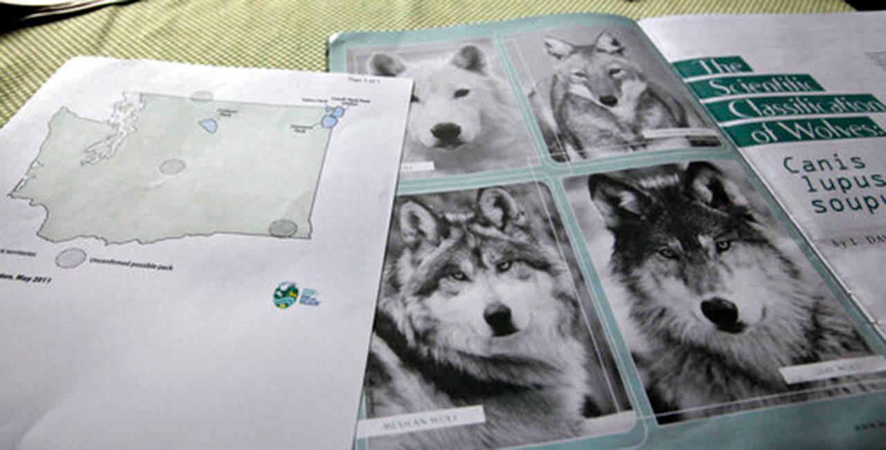 This June 18, 2011, photo shows a map of confirmed and possible wolf packs in Washington state next to a magazine about wolves on the kitchen table of Ray Robertson, who is both a volunteer for Conservation Northwest and a contractor for the U.S. Forest Service, near Twisp. (Elaine Thompson/The Associated Press)