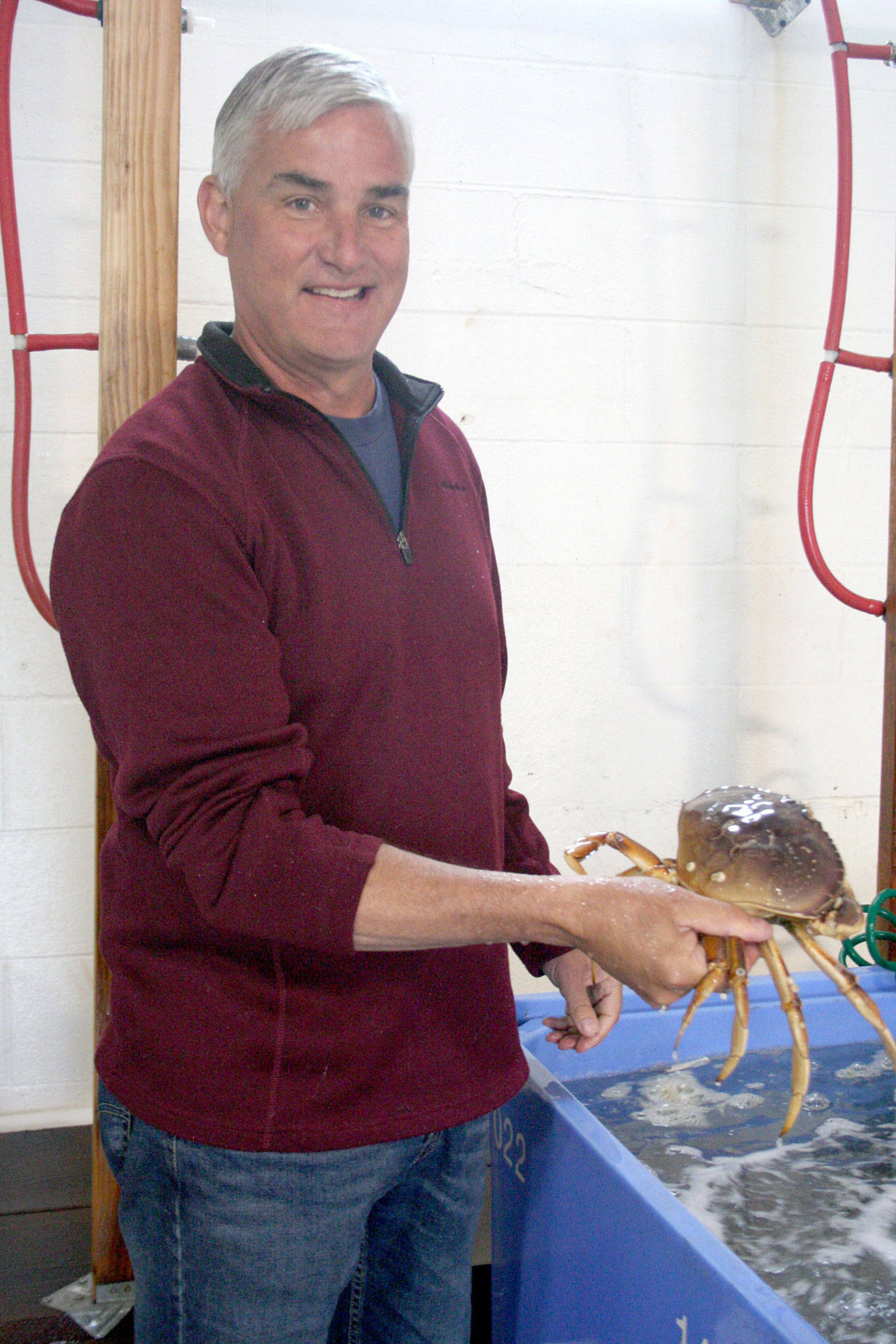 Scott Kimmel of New Day Fisheries is a third-generation fisherman. One of the niche segments of his business is delivering live Dungeness crab to suppliers both in the United States and internationally. (Brian McLean/Peninsula Daily News)