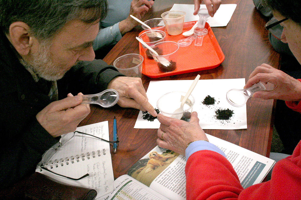 Dave Sachi, left, and Barbara Sachi, both from Port Townsend, examine sample soil on Monday during a composting class at the Food Co-op Annex. About 25 people attended the workshop, hosted by Laura Tucker, an outreach coordinator for Jefferson County Public Health. (Brian McLean/Peninsula Daily News)