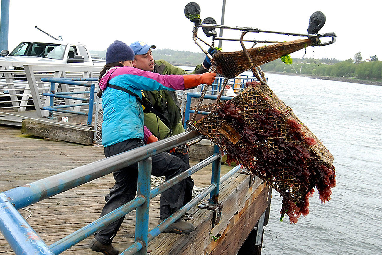 PHOTOS: Volunteers pull up refuse from Port Angeles harbor