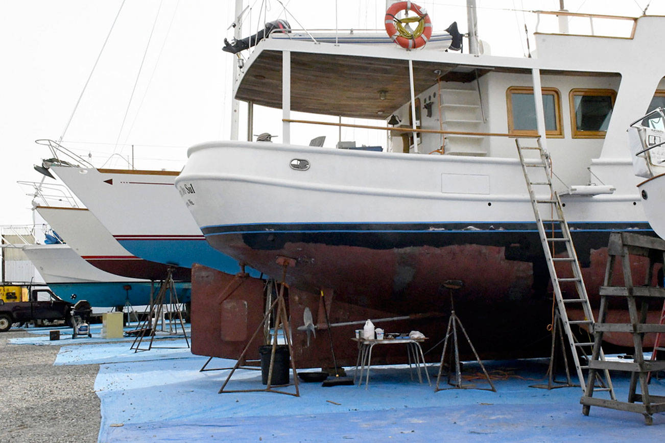 Port of Port Townsend turns down stormwater grant for Boat Haven