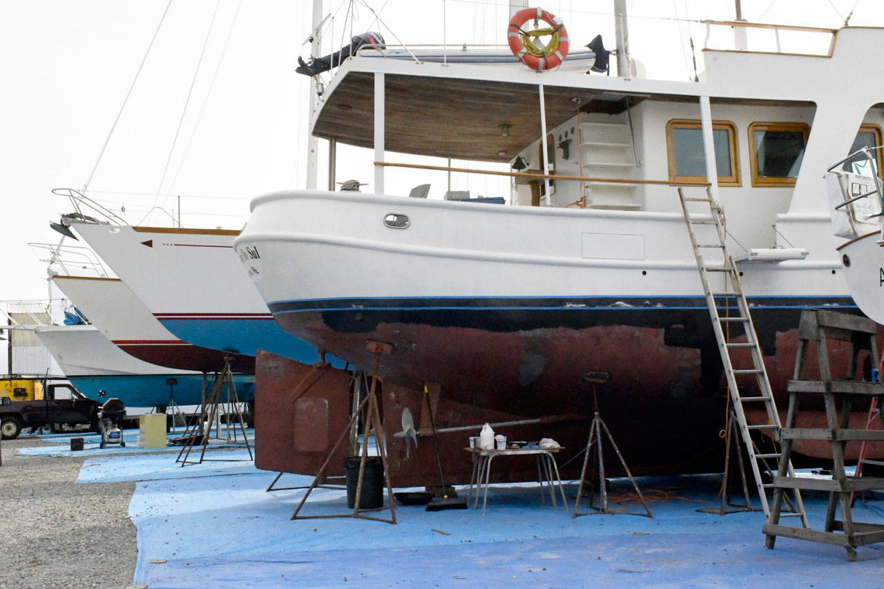 Port of Port Townsend commissioners said they do not need a grant from the state Department of Ecology that would have addressed contamination at Boat Haven. (Jeannie McMacken/Peninsula Daily News)