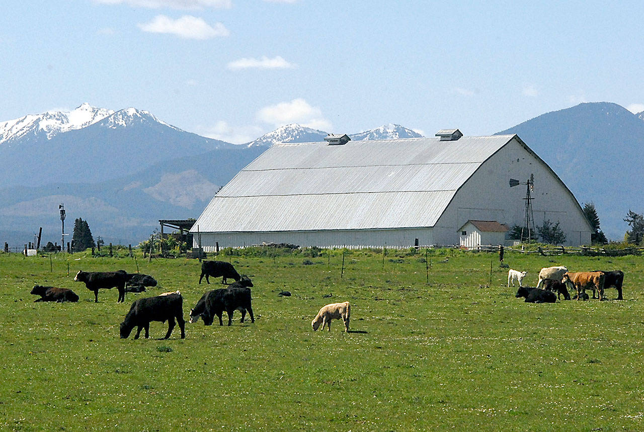 Keith Thorpe/Peninsula Daily News