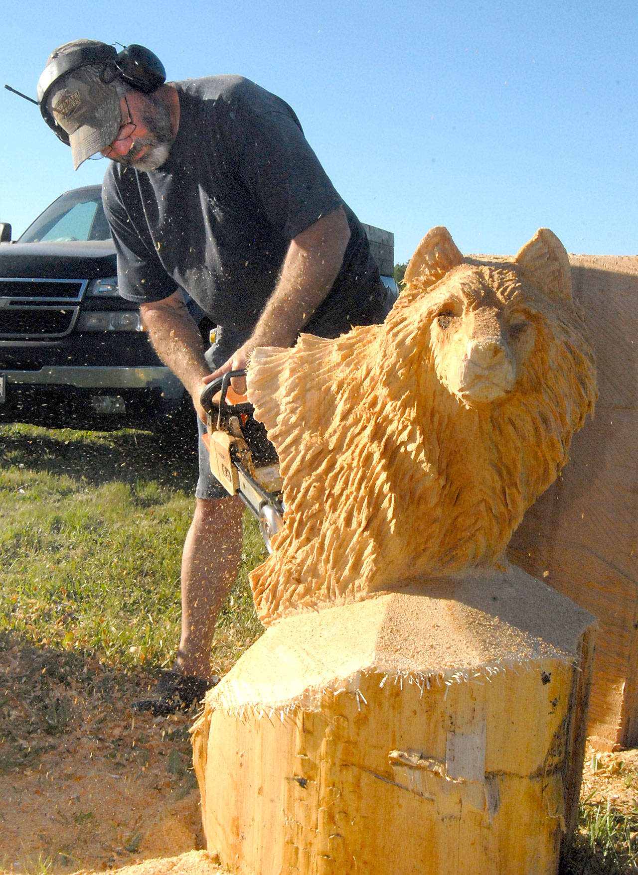 Chainsaw carver Donald Benson of Tumwater sculpts a wolf during a carving exhibition at the Irrigation Festival log show on Friday. (Keith Thorpe/Peninsula Daily News)