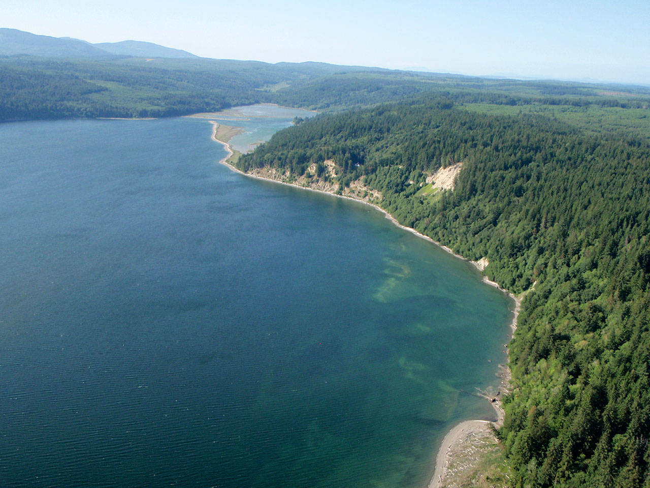 Photo shows the north of the Dabob Bay Natural Area. (Northwest Watershed Institute)