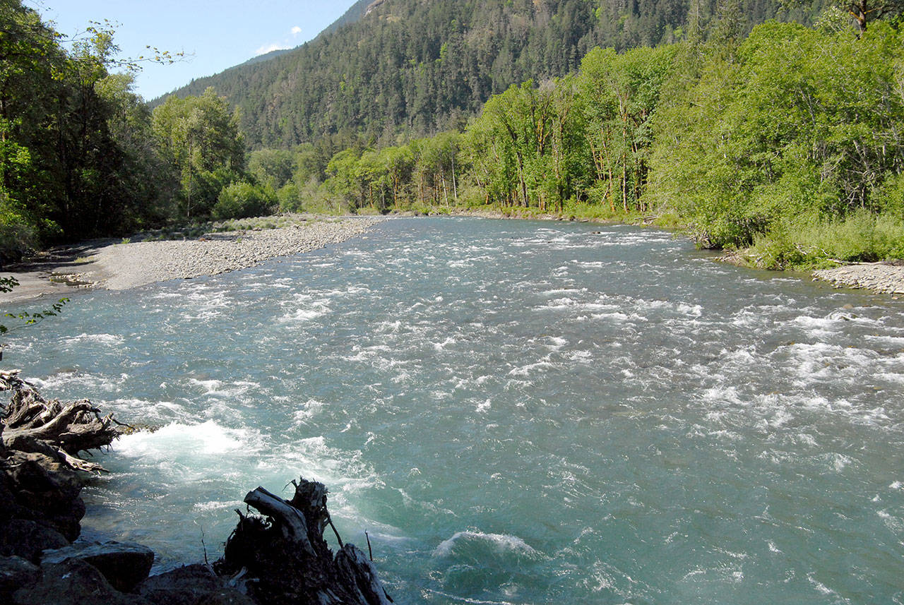 The Elwha River flows past the boundary of Olympic National Park on its way to the Strait of Juan de Fuca on Wednesday. (Keith Thorpe/Peninsula Daily News)
