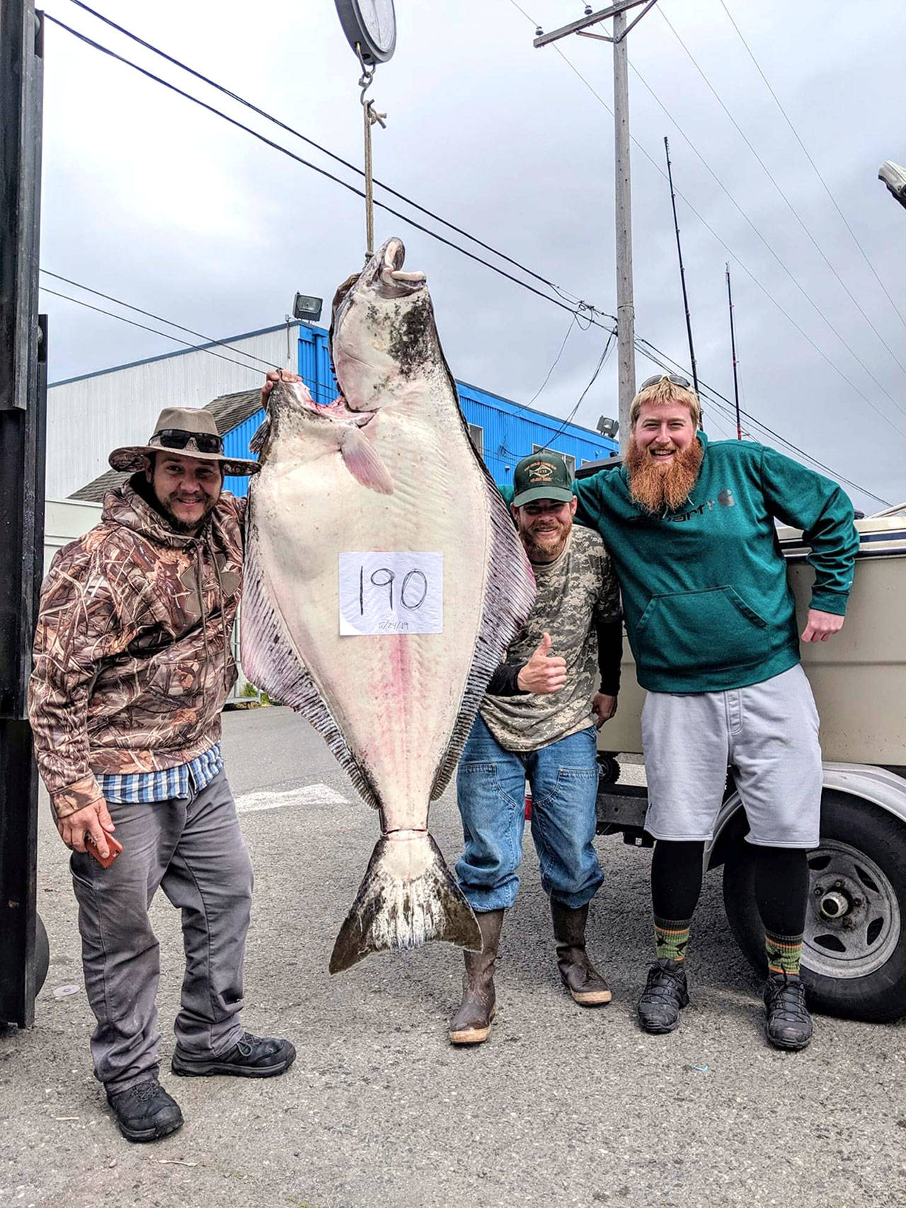 Halibut anglers from left, Nick Roberts, Bob Harrison and Craig Rice teamed to bring aboard this 190-pound halibut Friday off Port Angeles. It’s the second halibut catch of more than 155 pounds that Harrison has been involved in since 2017.
