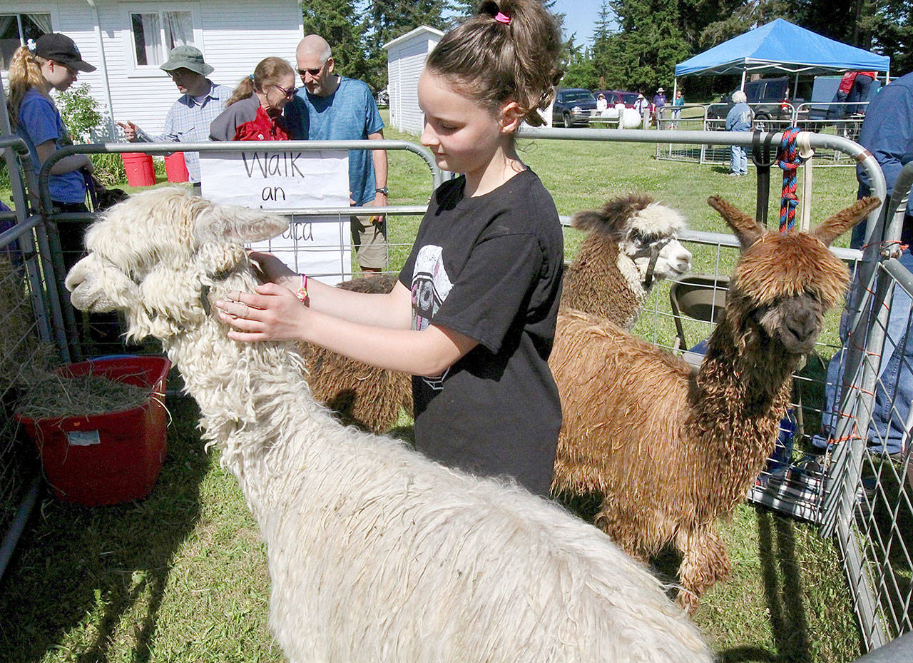 (Dave Logan/For Peninsula Daily News)