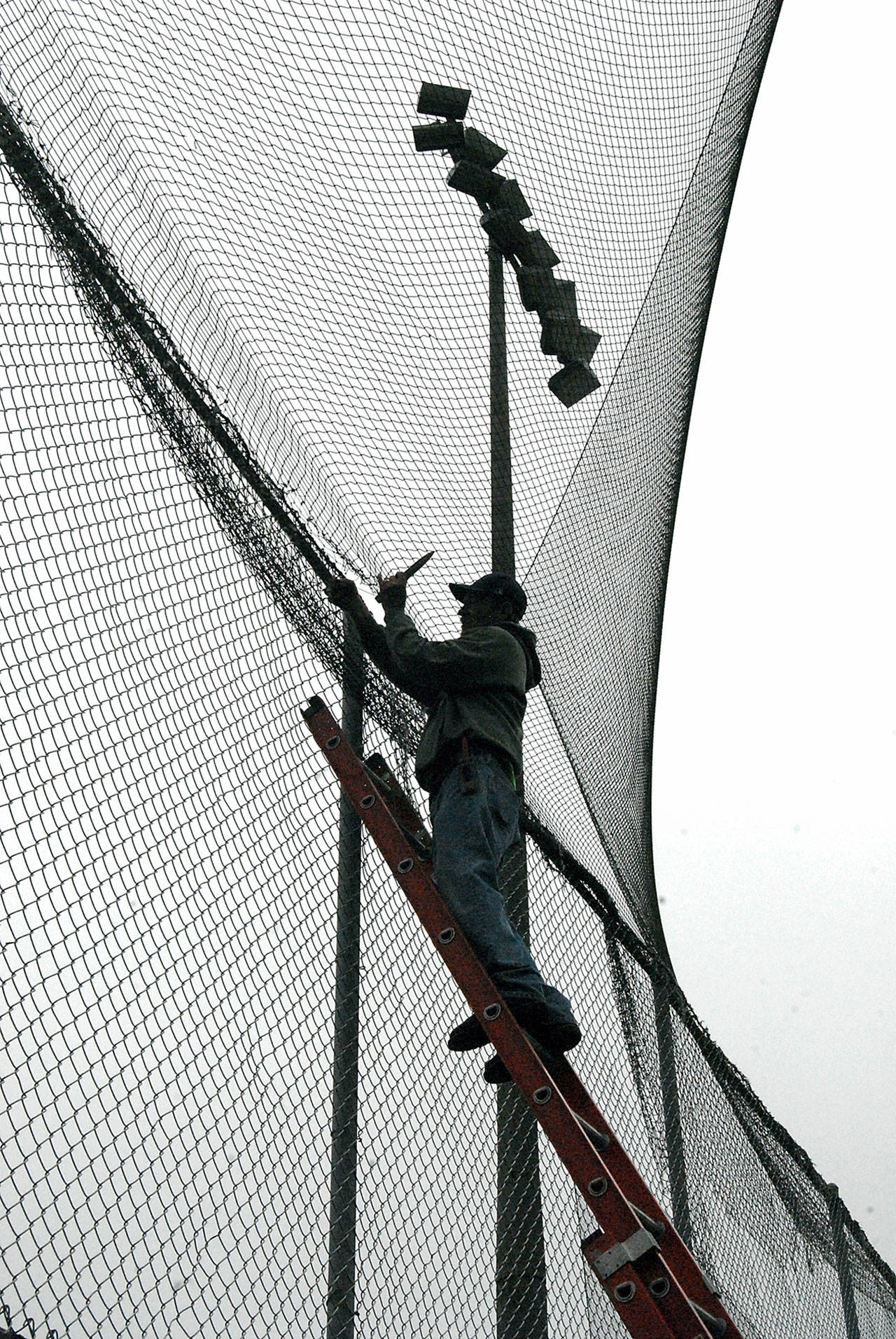 Mike McFadden mends torn netting above the on-deck circle at Port Angeles Civic Field on Wednesday. (Keith Thorpe/Peninsula Daily News)
