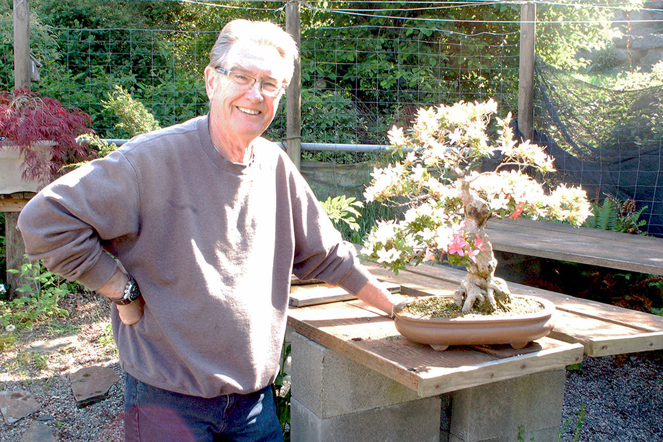 Big passion for tiny trees: Dungeness Bonsai Society hosts 43rd annual spring show