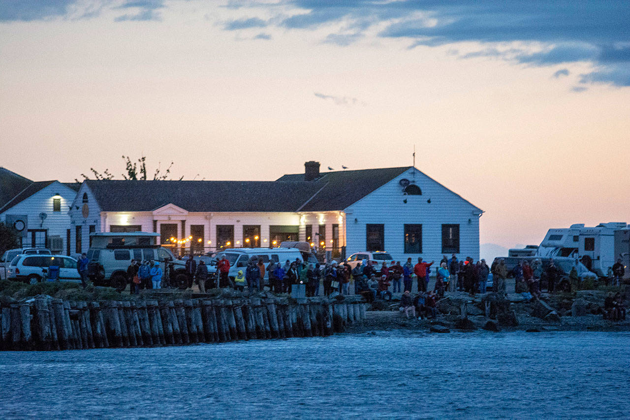 People line the shore to watch the start of the Race to Alaska in Port Townsend on Monday morning. (Jesse Major/Peninsula Daily News)