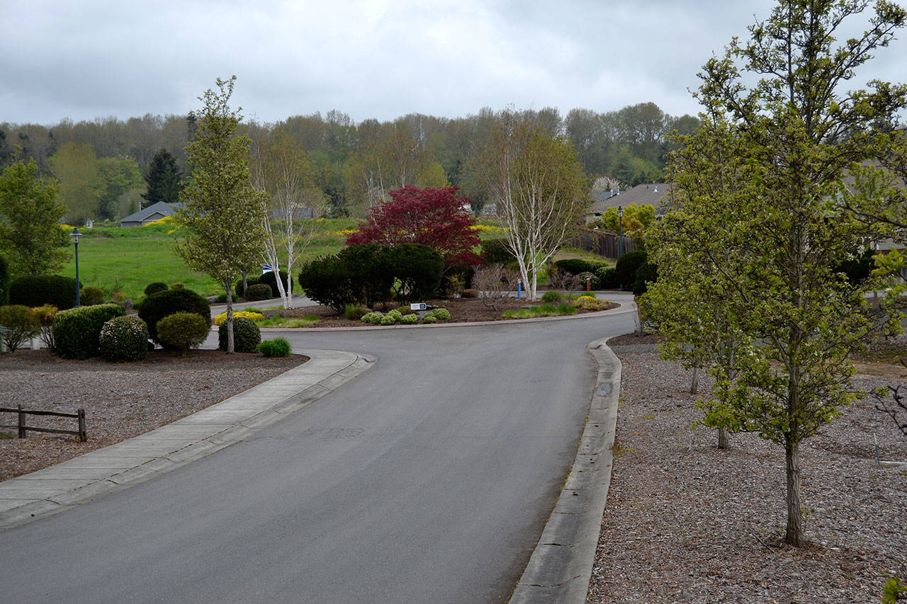 Development of 71 homes in Phase B and C of Jennie’s Meadow is on hold until developer Ruth Brothers Enterprises LLC can prove to the city of Sequim it has an easement to use Jennie’s Boulevard, and makes significant improvements to the road. (Matthew Nash/Olympic Peninsula News Group)