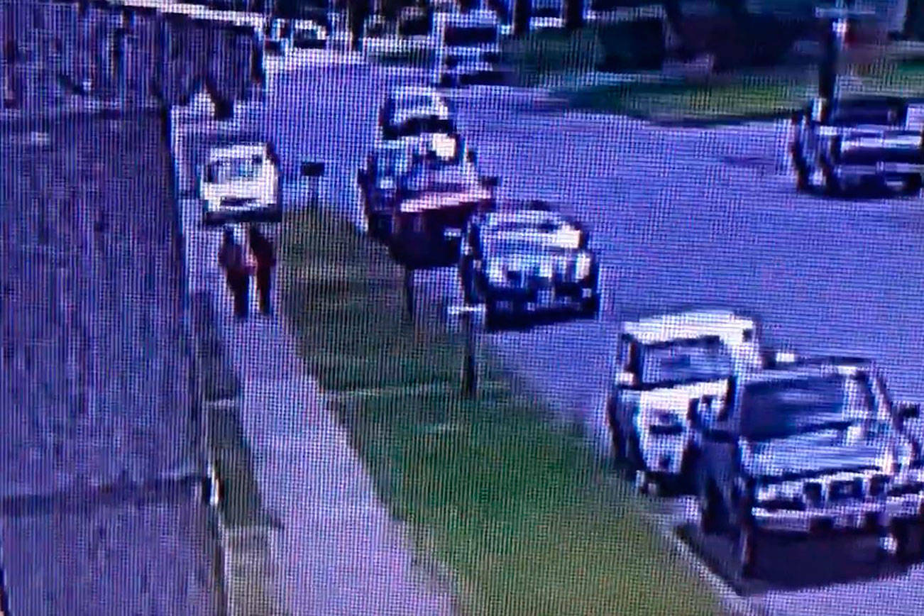 Police investigate after van driver attempts to run down pedestrians